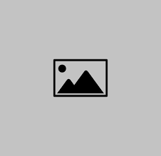 100%x280